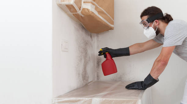 Professional Attic Mold Remediation technician working in Madison, FL