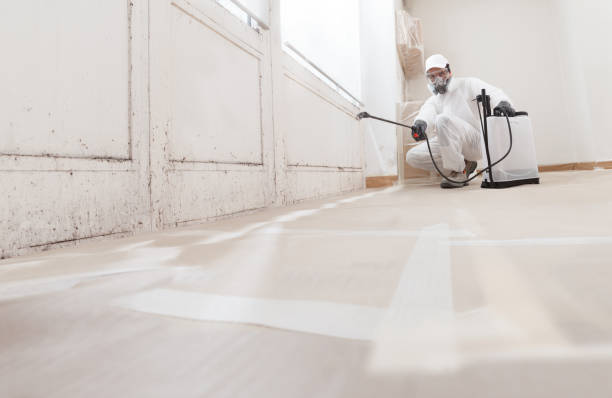 24/7 Emergency Attic Mold Remediation experts in Madison, FL